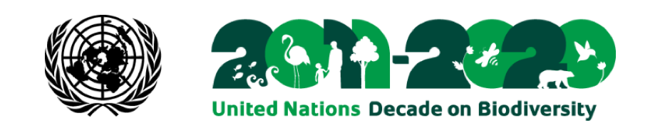 UN Convention on Biodiversity | Fostering Education & Environment for ...