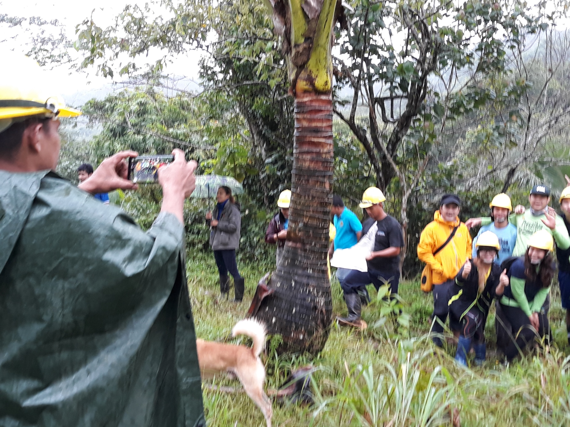 FMC-LQLG-TreePlanting-11082018101 | Fostering Education & Environment ...