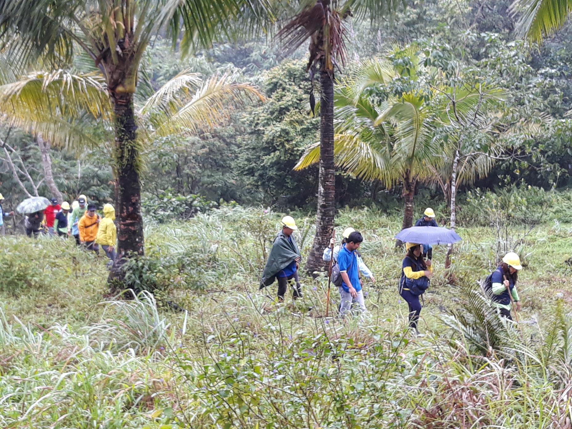 FMC-LQLG-TreePlanting-11082018103 | Fostering Education & Environment ...