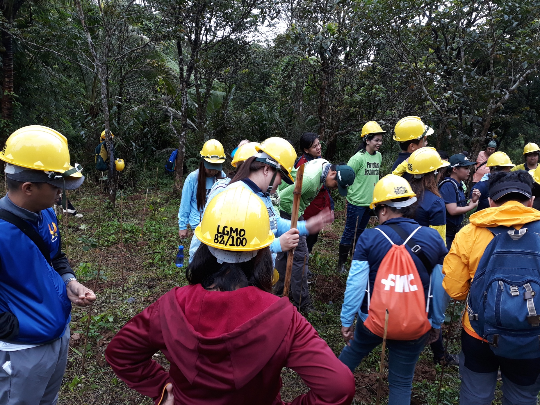 FMC-LQLG-TreePlanting-1108201853 | Fostering Education & Environment ...