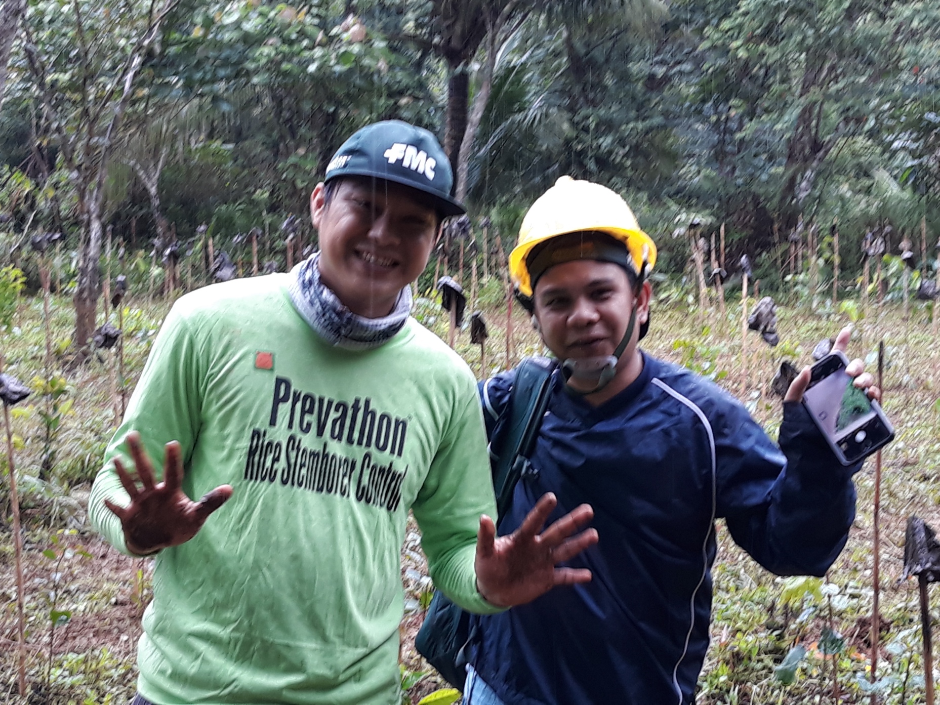 FMC-LQLG-TreePlanting-1108201897 | Fostering Education & Environment ...