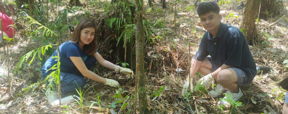 Fostering Education & Environment for Development, Inc. (FEED)