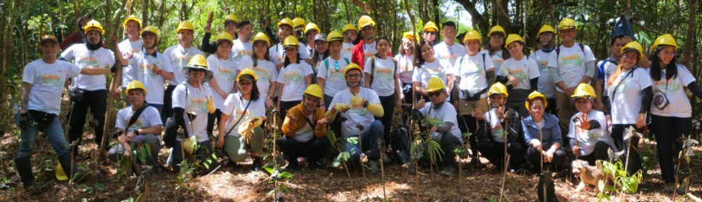 Fostering Education & Environment for Development, Inc. (FEED)