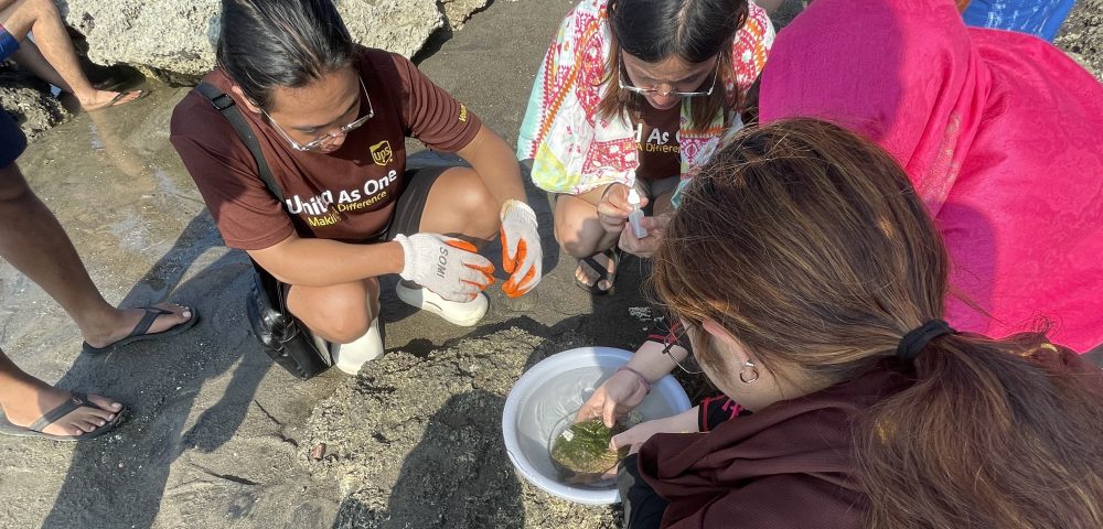 Fostering Education & Environment for Development, Inc. (FEED)