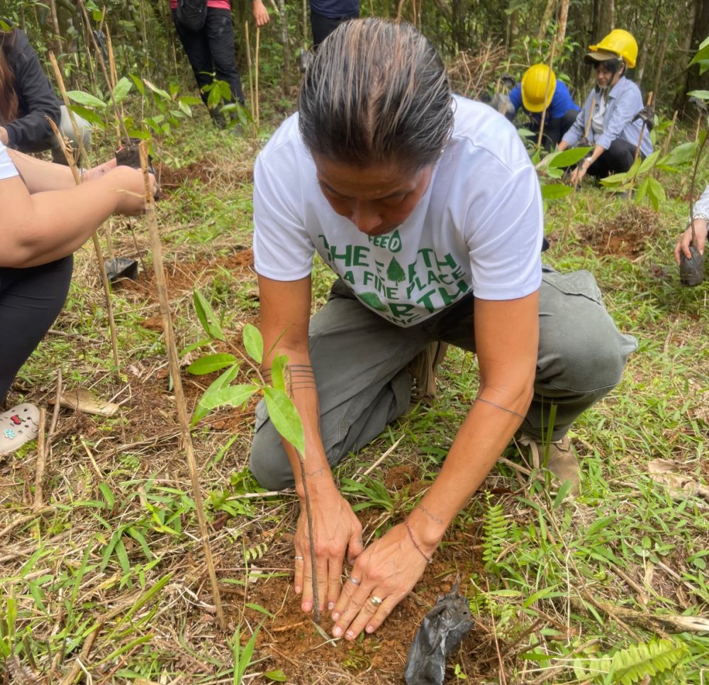 Fostering Education & Environment for Development, Inc. (FEED)