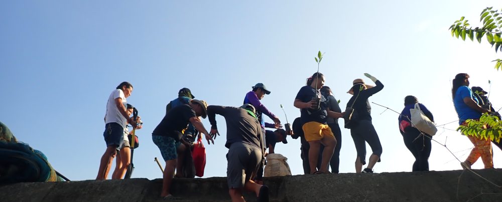 Fostering Education & Environment for Development, Inc. (FEED)