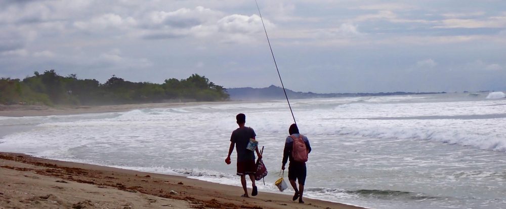 Fostering Education & Environment for Development, Inc. (FEED)